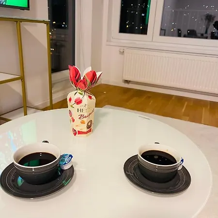 Moderan Apartman I Sigurna Besplatna Garaza Lejlighed