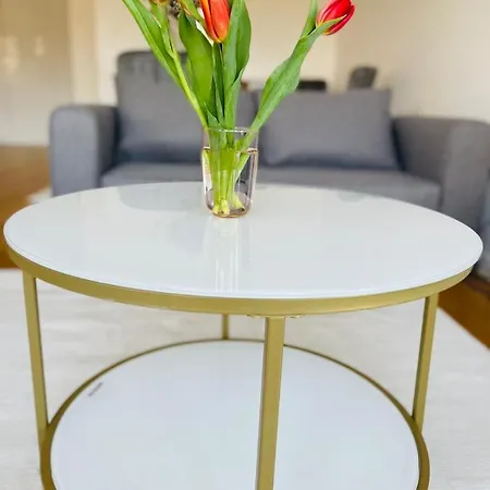 Apartment Moderan Apartman I Sigurna Besplatna Garaza Sarajevo